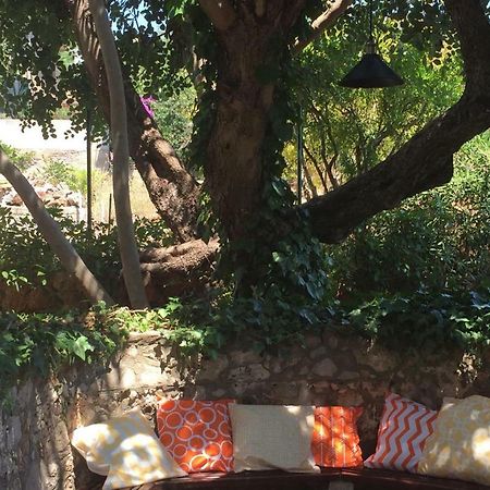 スタリー・グラードRelax Gardenアパートメント エクステリア 写真
