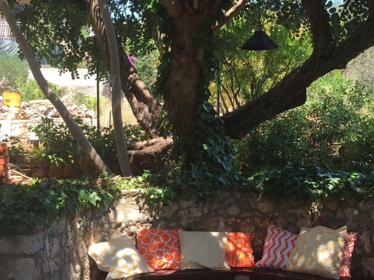 スタリー・グラードRelax Gardenアパートメント エクステリア 写真