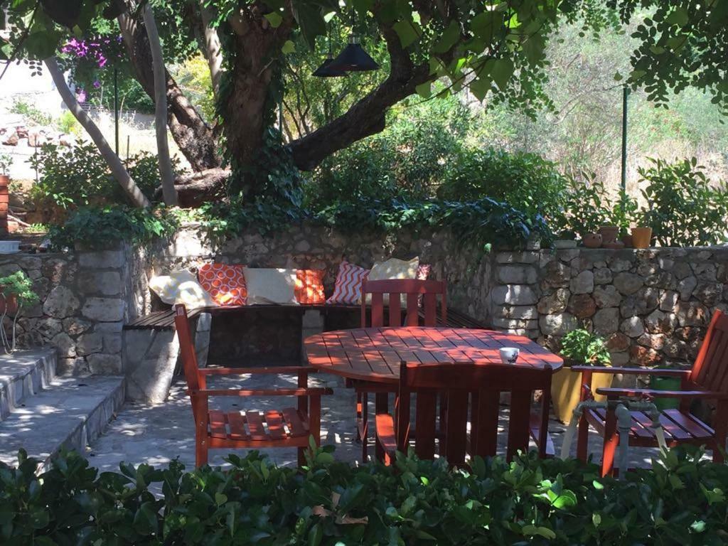 スタリー・グラードRelax Gardenアパートメント エクステリア 写真