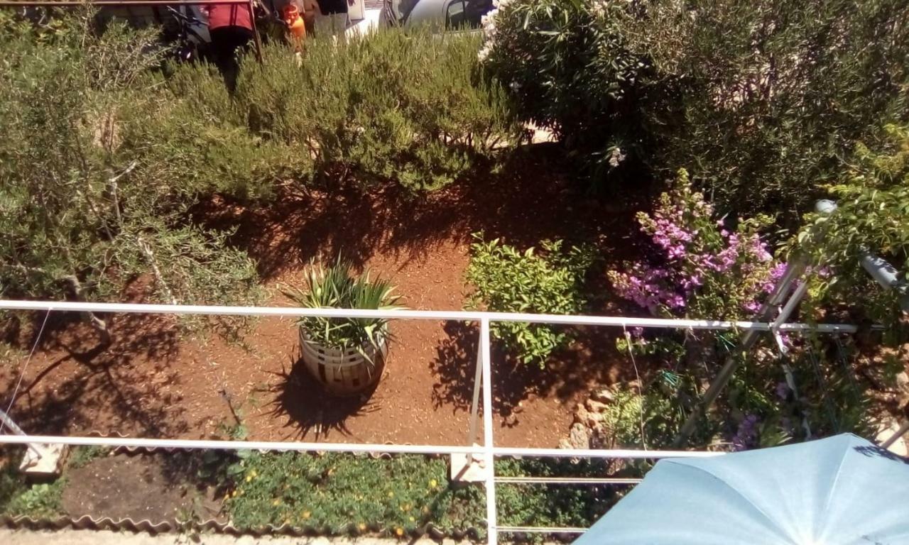 スタリー・グラードRelax Gardenアパートメント エクステリア 写真
